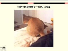每日快乐早会16年8月16日使用15页.ppt