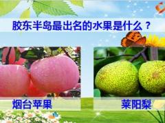 2016年秋季莱阳梨烟台苹果方案宣导片9页.ppt