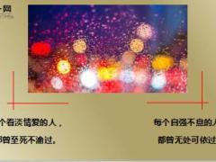 每日心灵鸡汤人不伤不成长心不伤不坚强.rar