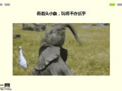 每日快乐早会16年8月23日使用15页.ppt