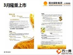 阳光人寿财富一生年金保险介绍12页.ppt