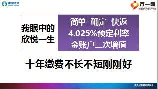 中国太平欣悦一世产品销售经验分享29页.ppt