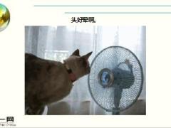 每日快乐早会16年8月25日使用15页.ppt