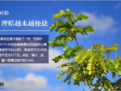 全国首个医保商保自费一站式支付系统落地武汉精美6页.ppt