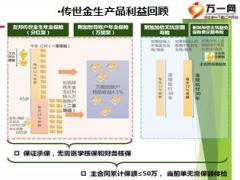 友邦金生永无忧产品介绍案例分析17页.ppt