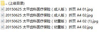 太平齿科医疗保险成人版幼童版折页.rar