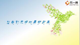 保险庆生早会流程精美16页.ppt