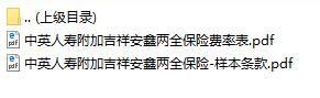 中英人寿附加吉祥安鑫两全保险条款费率表.rar
