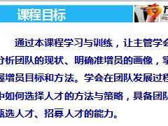 打造组织发展金字塔团险队伍发展增员增才策略国寿版含备注52页.ppt