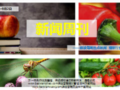 新闻周刊8月27日至9月2日21页.ppt
