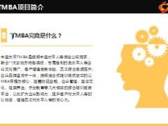 中国太平TMBA培训项目推介27页.ppt
