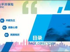 太平洋安行宝2.0首爆件数王销售心得分享.rar