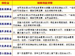国寿福组合自动计划书王芳泽版本.xls