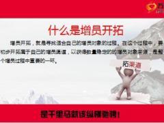 保险公司渠道开拓增员对象分析13页.ppt