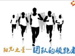 阳光之星荣誉体系方案介绍策进会12页.ppt