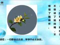 每日心灵鸡汤突然间懂了.rar