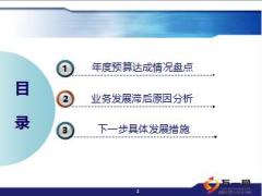 银保渠道三季度总结报告17页.ppt