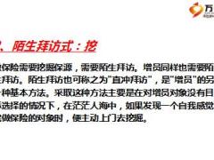 保险公司组织发展把握8个字11页.ppt