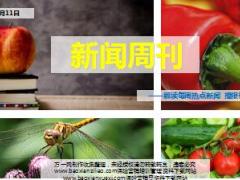 新闻周刊9月3至9日25页.ppt