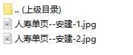 国寿团体员福保障爱才系列之安建建筑人员意外保障计划彩页2页.rar