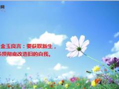 每日正能量死亡与新生5页.ppt