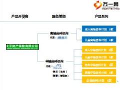 太平齿科产品升级方案培训课件13页.ppt