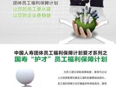 国寿团体员福保障爱才系列之护才员福保障计划彩页2页.rar