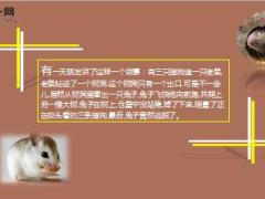 每日保险故事老鼠去哪儿了8页.ppt