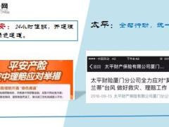 没有任何力量能抵御厦门台风的肆虐但保险除外13页.ppt
