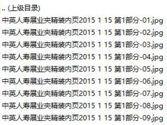 中英人寿关爱万家展业夹41页.rar