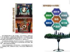 新华保险新征程新华彩展业夹24页.rar