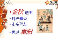 重阳节父母防癌检测活动宣导片12页.ppt