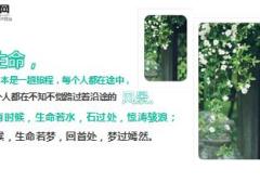 每日心灵鸡汤不问花开几许只问浅笑安然.rar