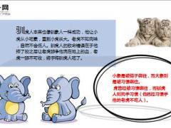 每日保险故事习惯与自然7页.ppt