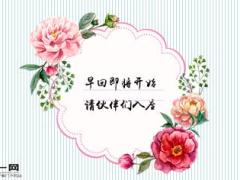 鲜花早会模板10页.ppt