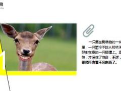 每日正能量独眼的鹿8页.ppt