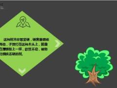 每日正能量子弹打不透的小虫却可以9页.ppt