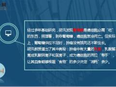 重大突破癌细胞竟被中国医生用小苏打饿死了16页.ppt