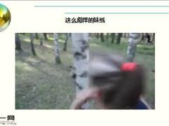 每日快乐早会16年9月28日使用15页.ppt