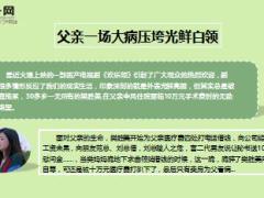 华泰新福佑双鑫保险特色案例演示14页.ppt