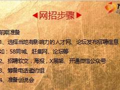 保险公司组织发展网招方案介绍16页.ppt