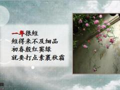 每日鸡汤一天一年一生.rar