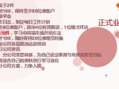 业务员每日计划的推动与落实14页.ppt