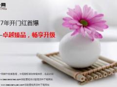 2017年开门红主打产品太平卓越臻享保险产品培训课件截图16页.ppt