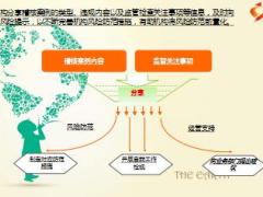 保险公司稽核检查暨监管实务案例分享33页.ppt