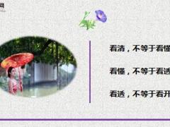 每日鸡汤看看看.rar