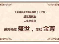 太平2016盛世金尊产品培训课件23页.rar
