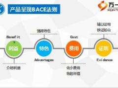 BACE让产品呈现更出彩前海人寿海利精选版含备注6页.ppt
