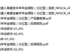 工银安盛人寿盛世丰年盛世盈年条款与费率表投保规则产品说明书.rar