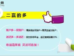 2017鸡年开门红主打产品国寿鑫福赢家卖点解析9页.ppt